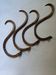 Set of curved wooden coat hooks in Thonet style.