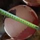 Havard Copper Pan Series