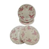 Longchamp earthenware plates