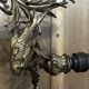 Pair of naturalistic wall sconces with fish circa 1900