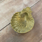 Empty pocket scallop shell