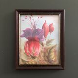 Suite of 3 floral illustrations