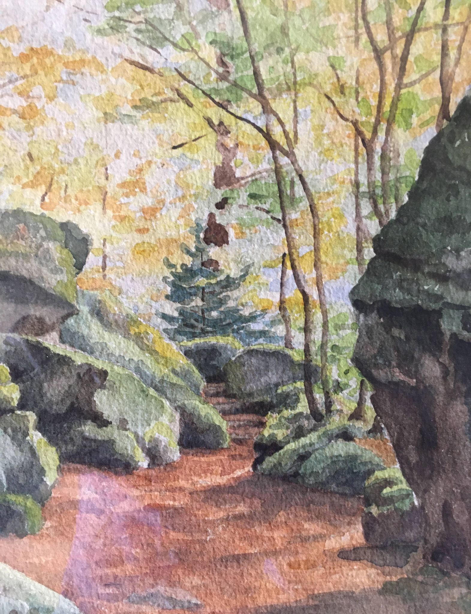 Tableau aquarelle du début du XX° "Forêt du Morvan"