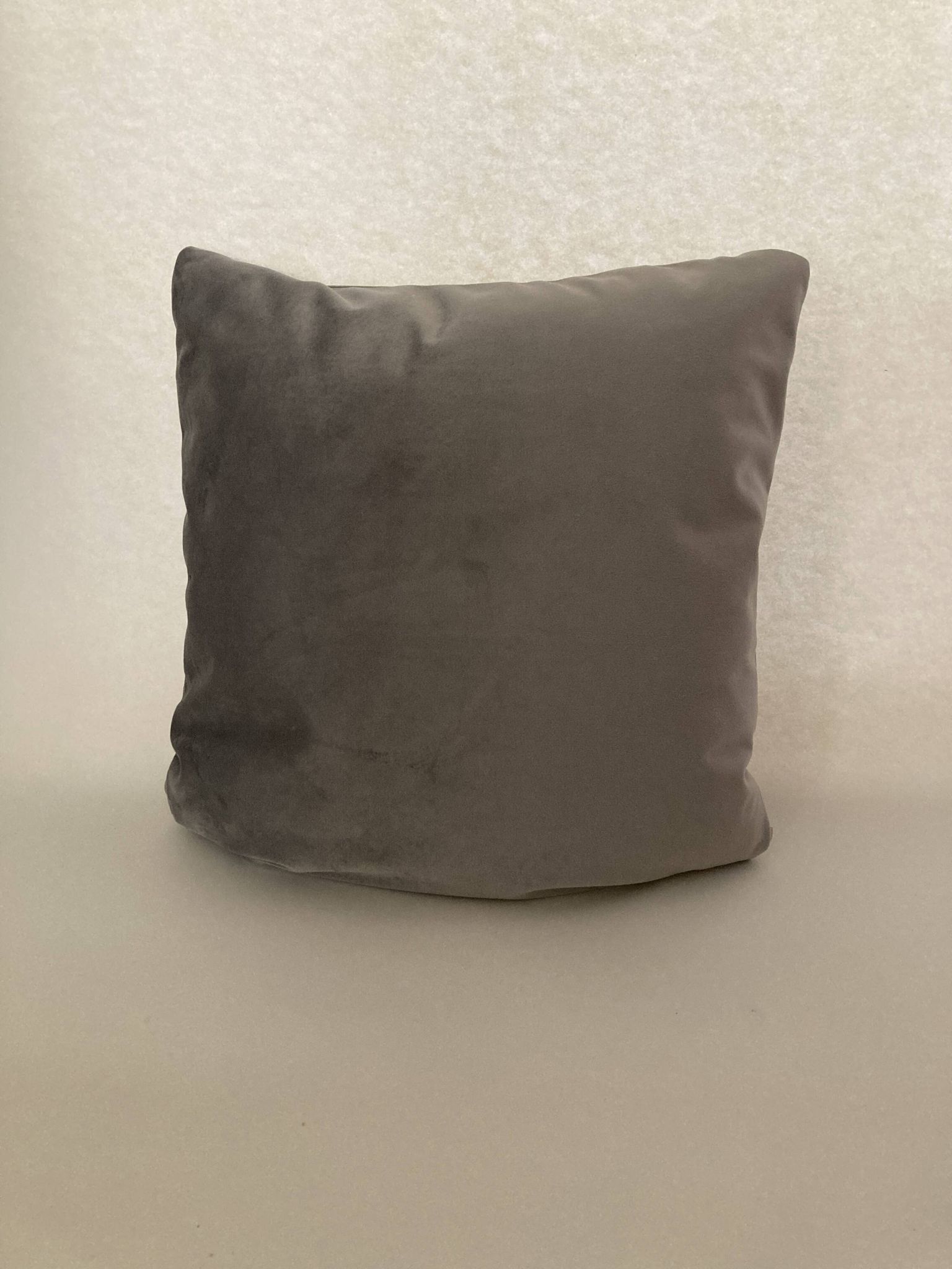 Silver gray velvet cushion