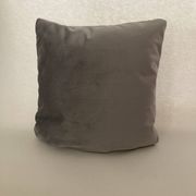 Silver gray velvet cushion