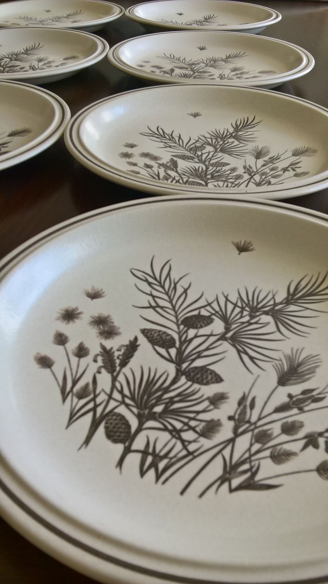 8 flat plates W.H. Grindley "Pinewood"