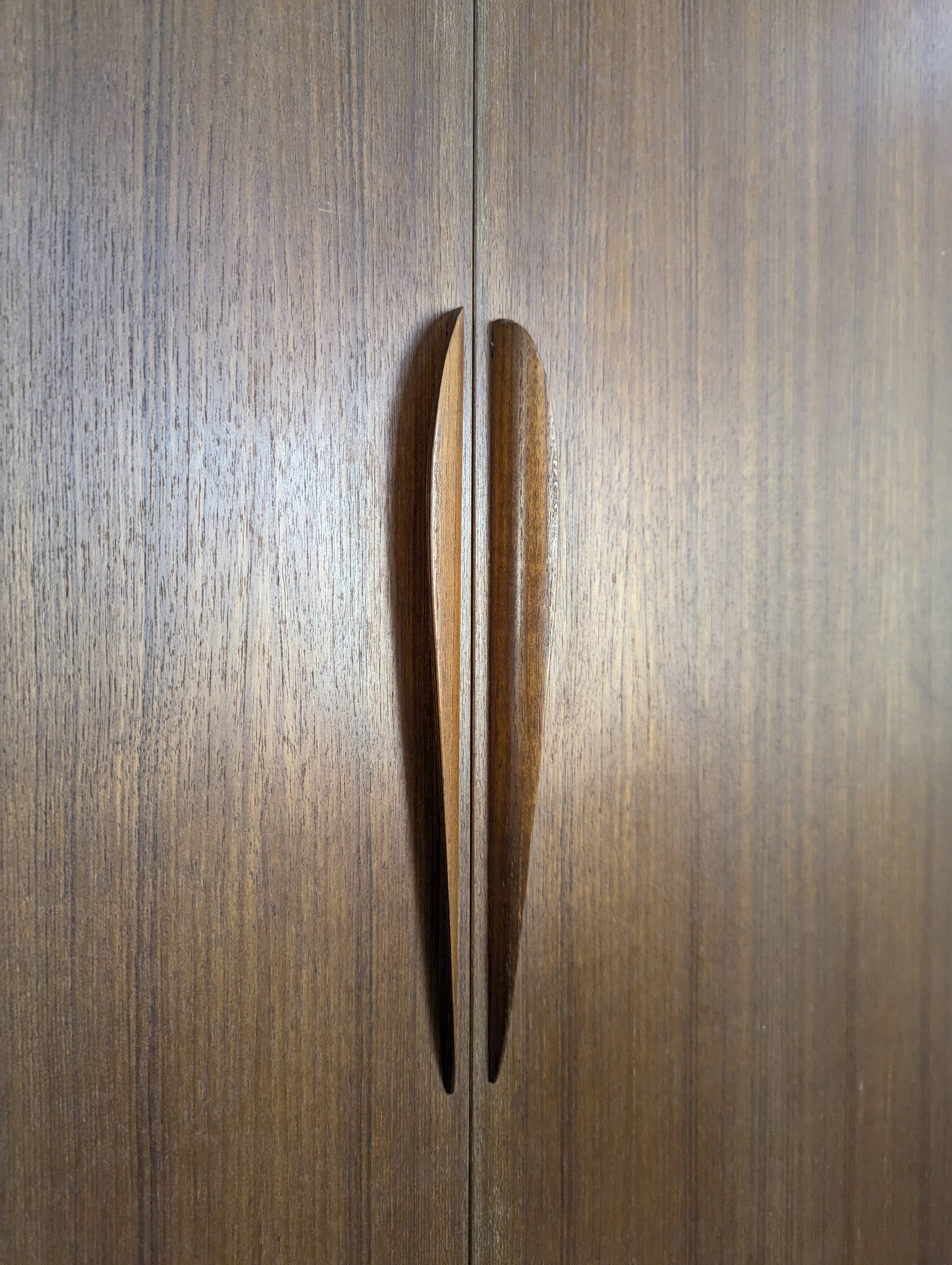 Scandinavian teak wardrobe Tricoire and Vecchione