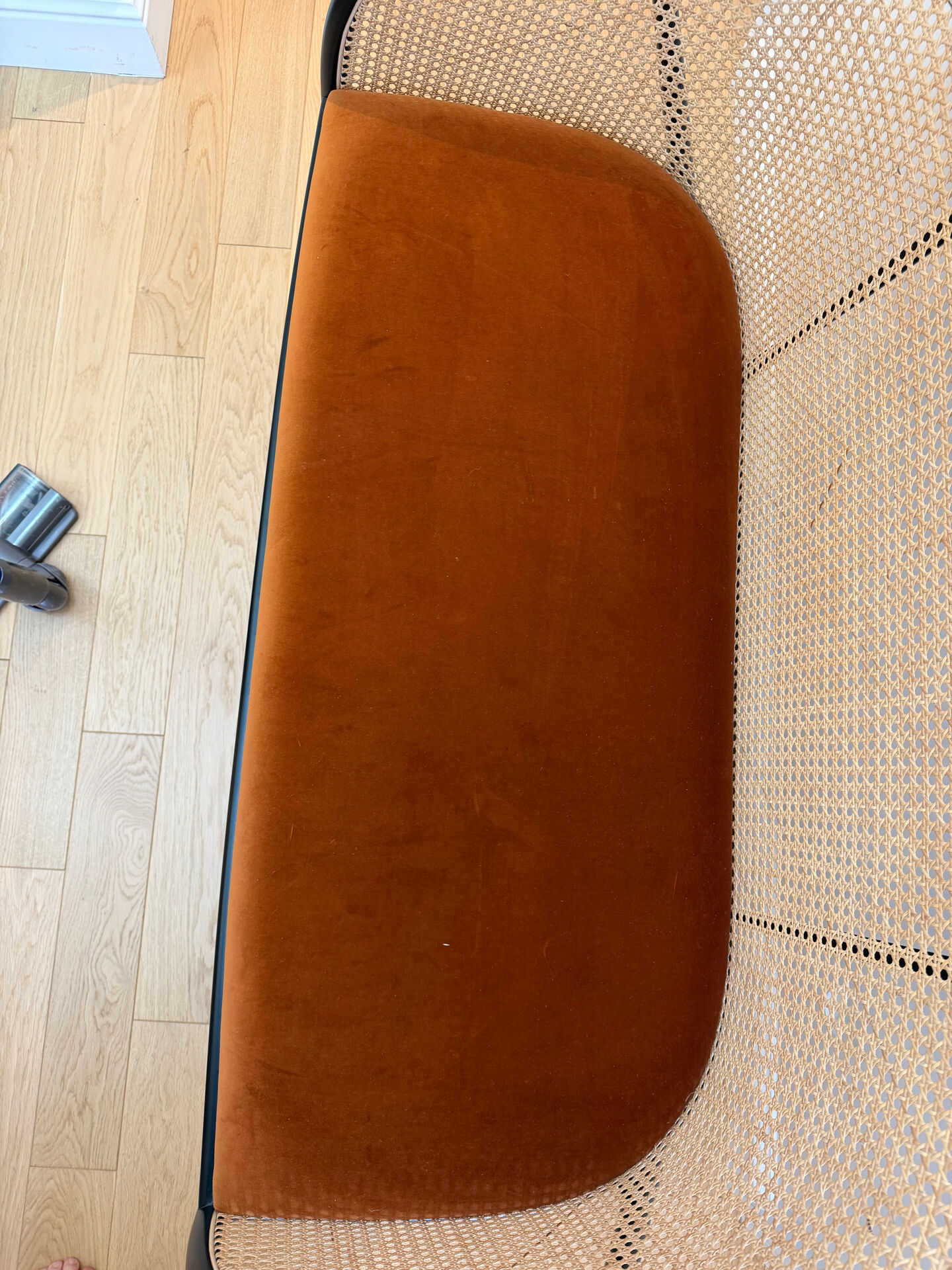 Horse bench - the socialite family