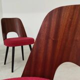 Pair of 515 -2 chairs by Oswald Haerdtl for Ton (Thonet) 1950