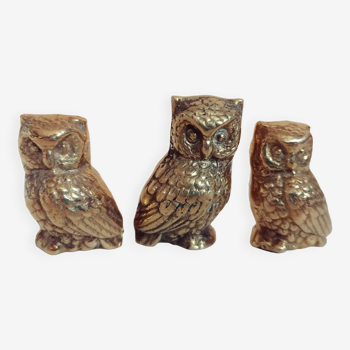 3 very cute mini owls