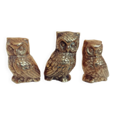 3 very cute mini owls