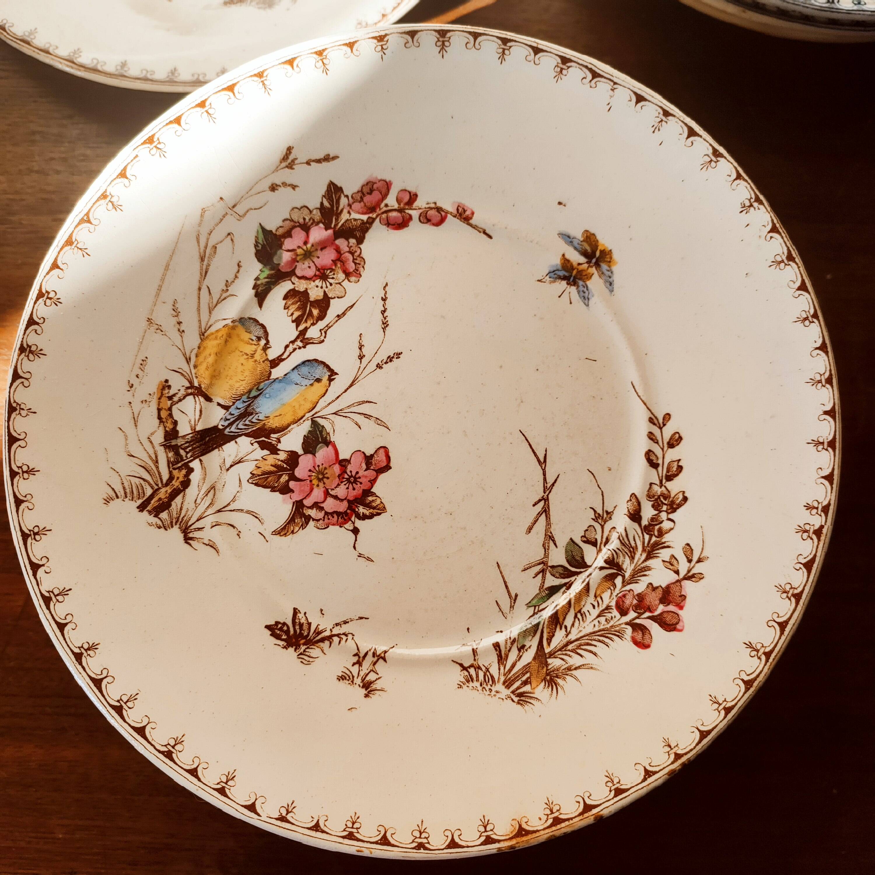 10 Lunéville earthenware plates, "Mésanges" pattern