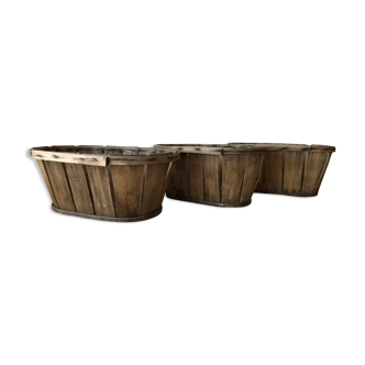Series of 3 old fruit cups