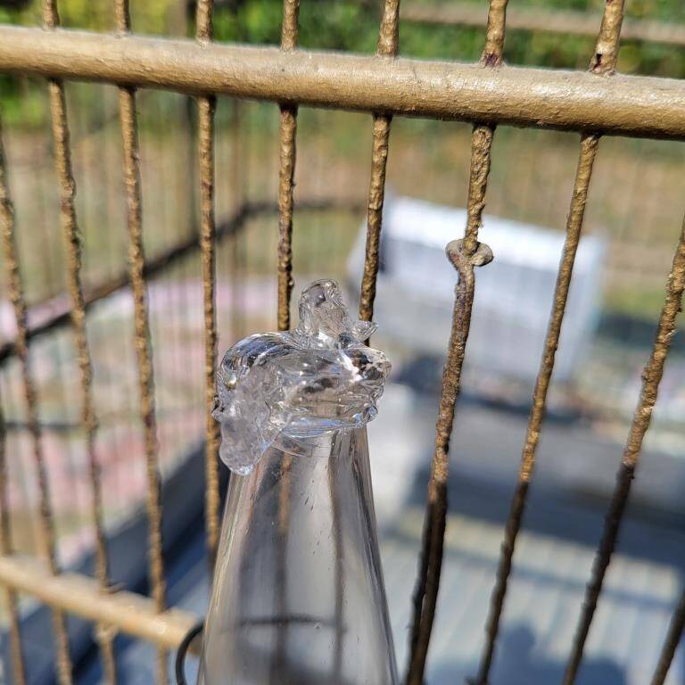 1900 Bird Cage Feeder and Drinker