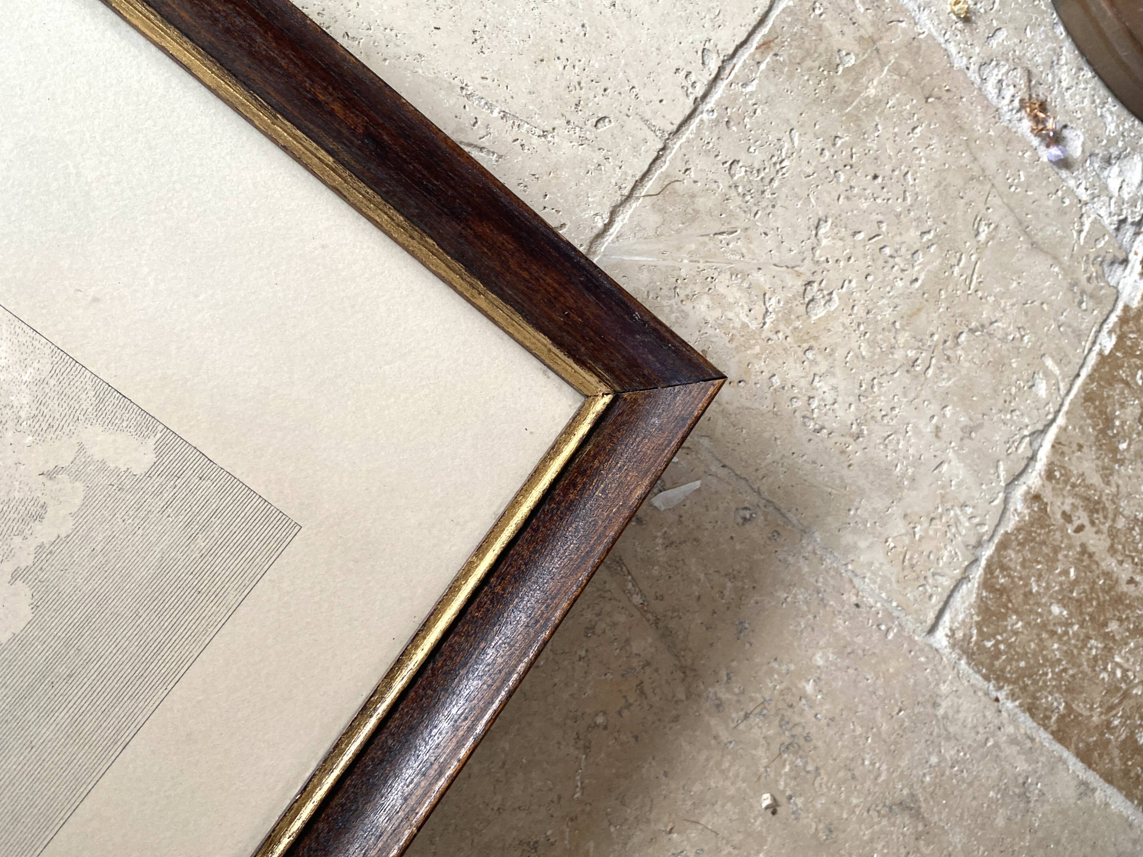 Paris 19th engraving, glass frame