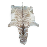 Zebra Skin, Floor Rug / Wall Tapestry, ca 1950