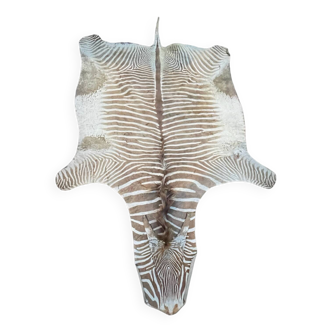 Zebra Skin, Floor Rug / Wall Tapestry, ca 1950