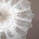 Napoli, Italian Murano Glass Ceiling Light or Flush Mount, 1970s