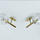 Brass and glass wall lights, vintage, 1960 by Hillebrand.