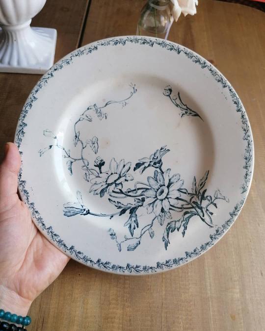 Rare earthenware plate iron earth model Marguerite LG Lunéville / blue transfer / botany