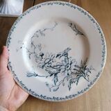 Rare earthenware plate iron earth model Marguerite LG Lunéville / blue transfer / botany