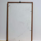 Frame pharmacy herbarium dragon and red vine