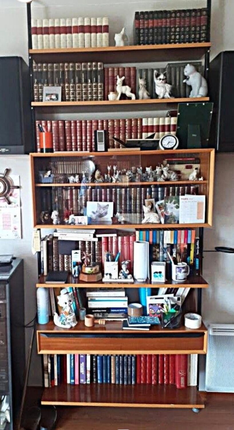 1960s Scandinavian design bookshelf