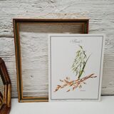 Oat botanical board