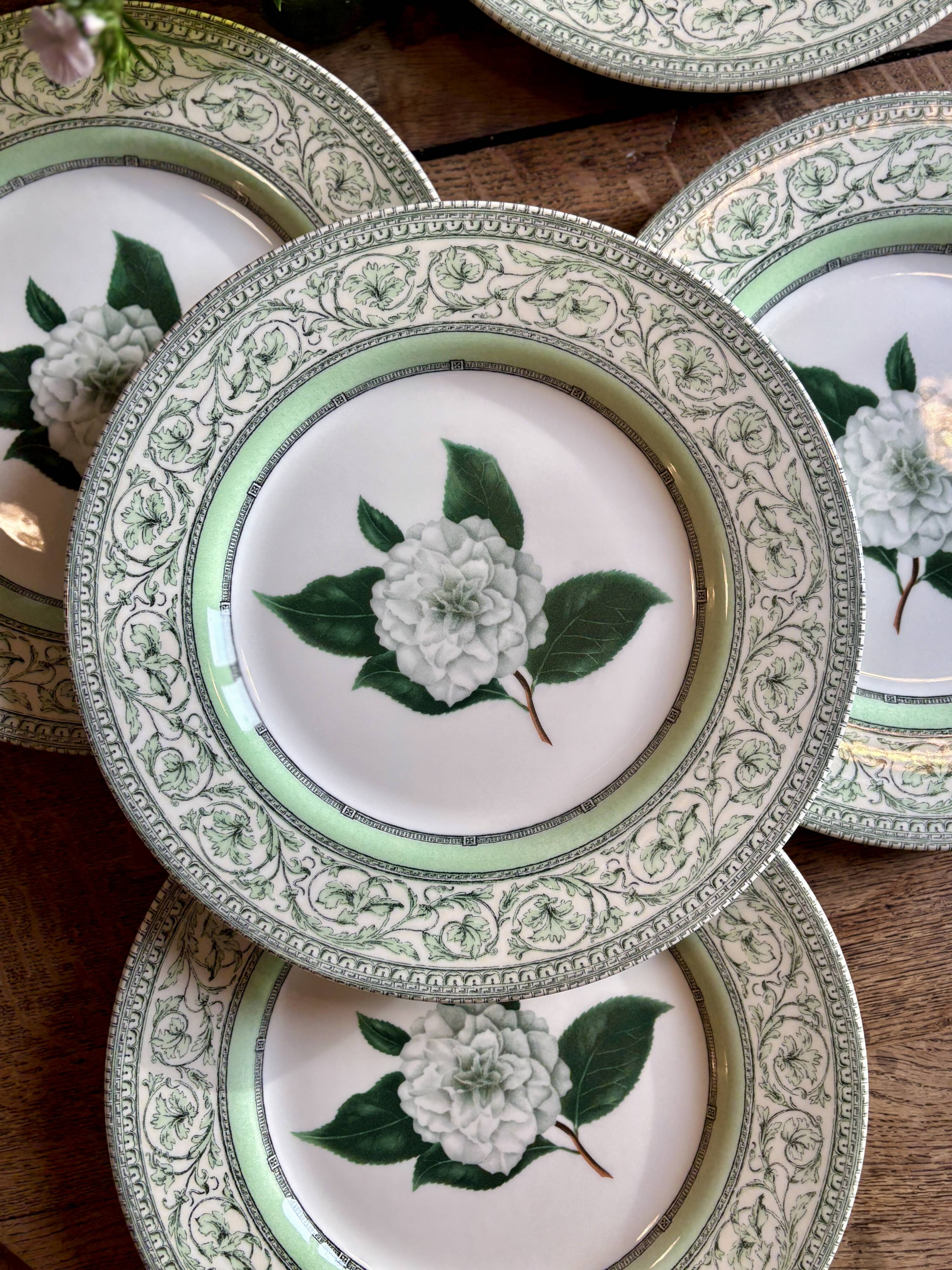 Lot de 8 assiettes plates Camélia - en porcelaine Anglaise