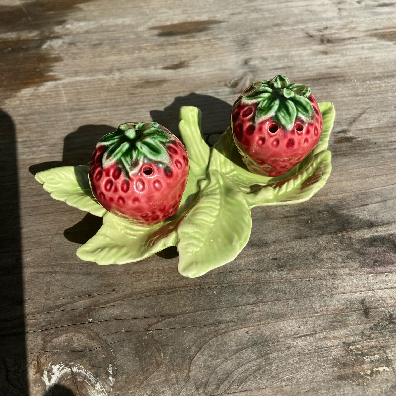 Salt shaker and pepper shaker in slip