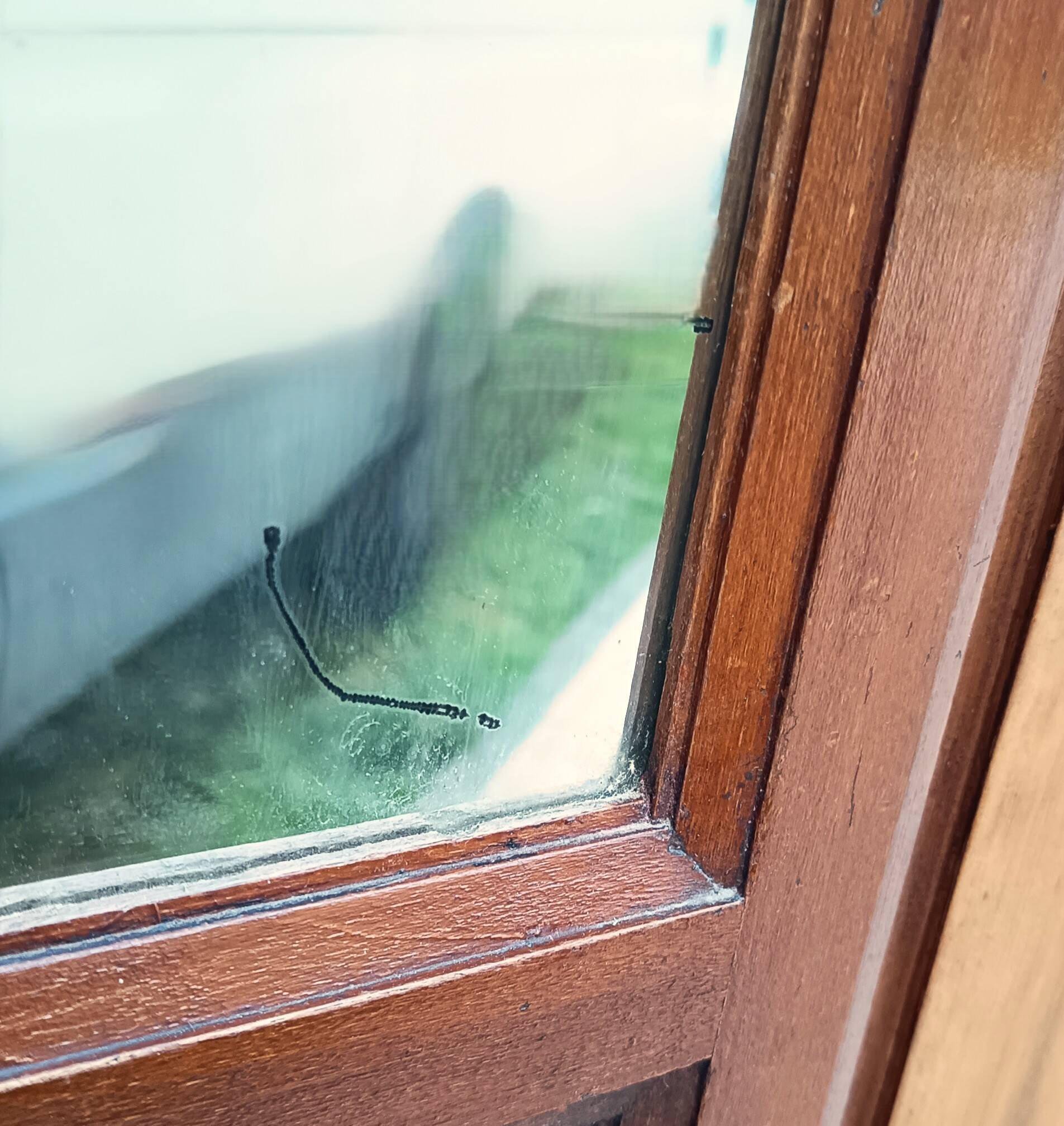 Art Deco Coat Rack in Walnut Burl