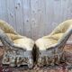 Pair of toad armchairs