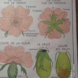 Vintage school poster