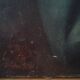 Old portrait painting oil on canvas "lady with lace cap" 19th