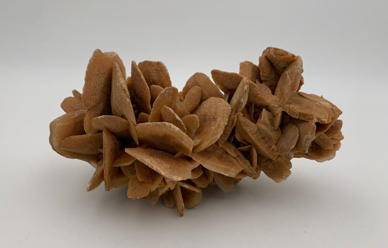 Sand rose, 555 grams, 16 cm x 9 cm