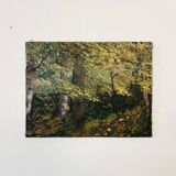 Painting Path in the undergrowth