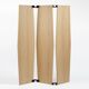 Severin Screen
