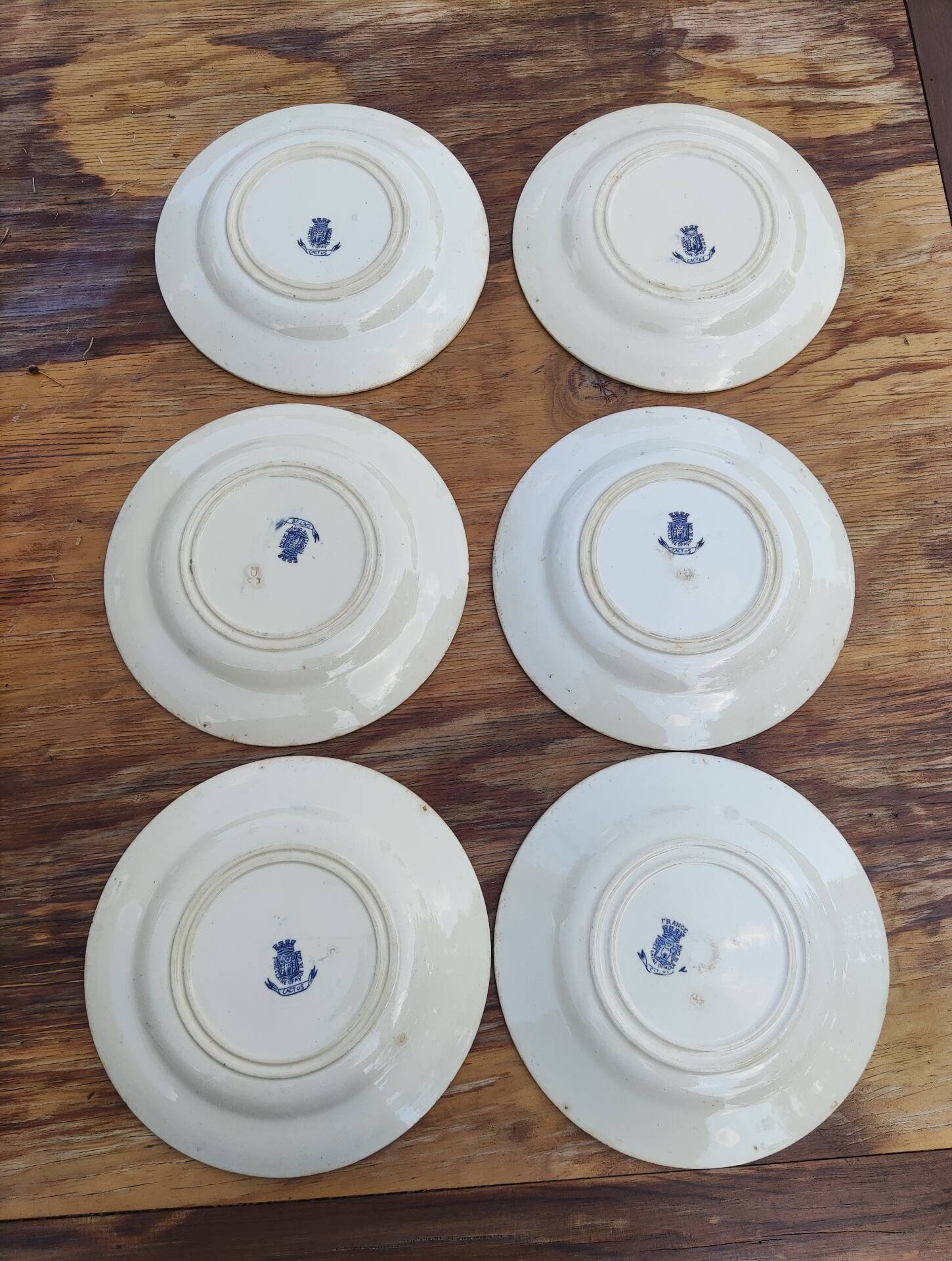 6 flat plates made of Gien earthenware - ironstone - cactus model