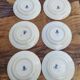 6 flat plates made of Gien earthenware - ironstone - cactus model