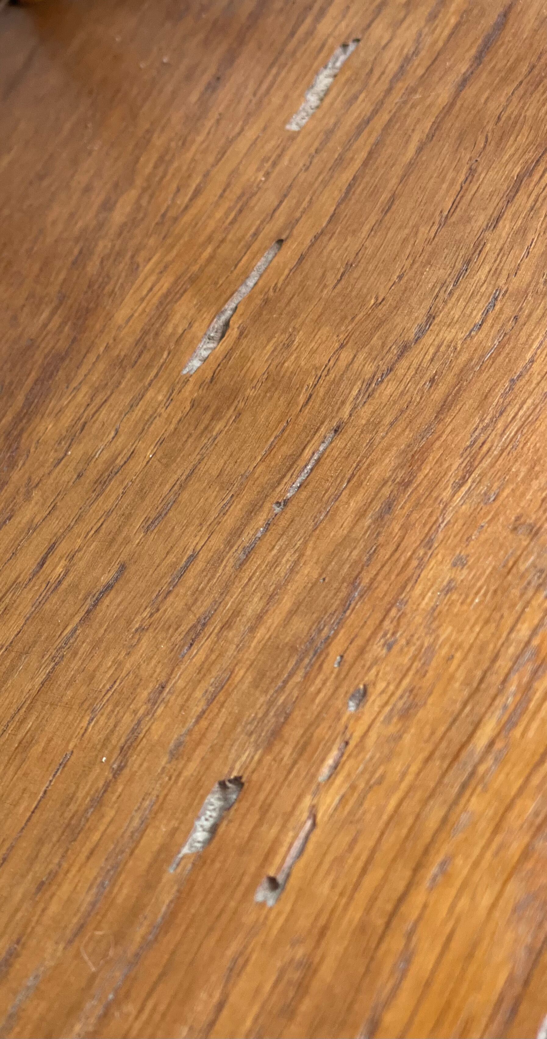 Rattan wall shelf 1960