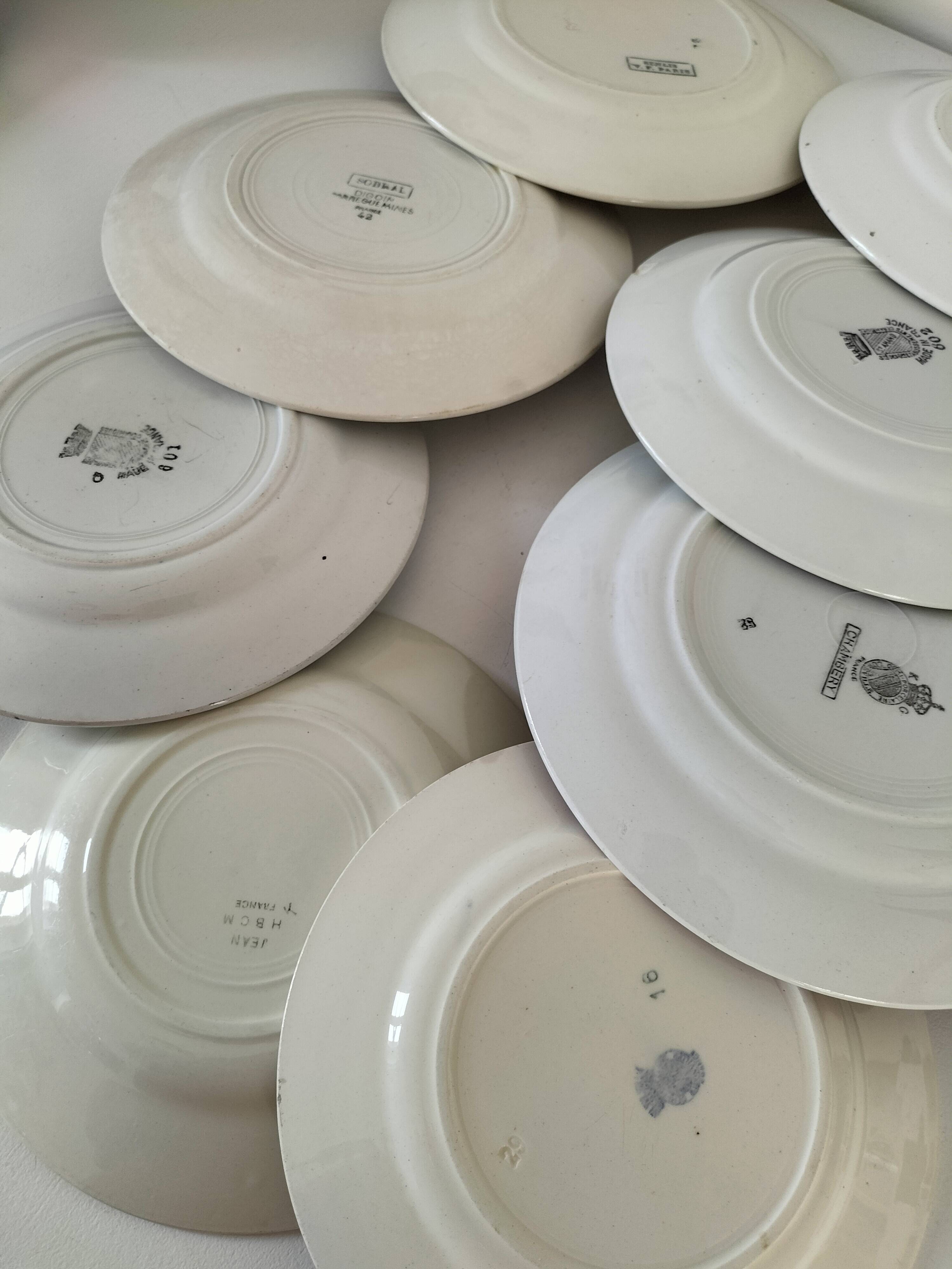 Set of 8 ironstone plates with coordinated designs.