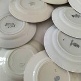 Set of 8 ironstone plates with coordinated designs.