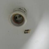 Raak Serpent Lamp by Martine Le Forestier, 1968