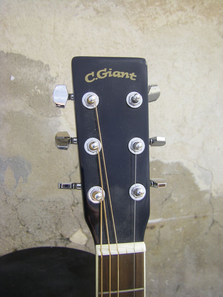 Guitare acoustique de marque C.Giant. | Selency