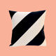 Coussin en velours