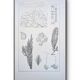 Printed in 1889, algae, florid.