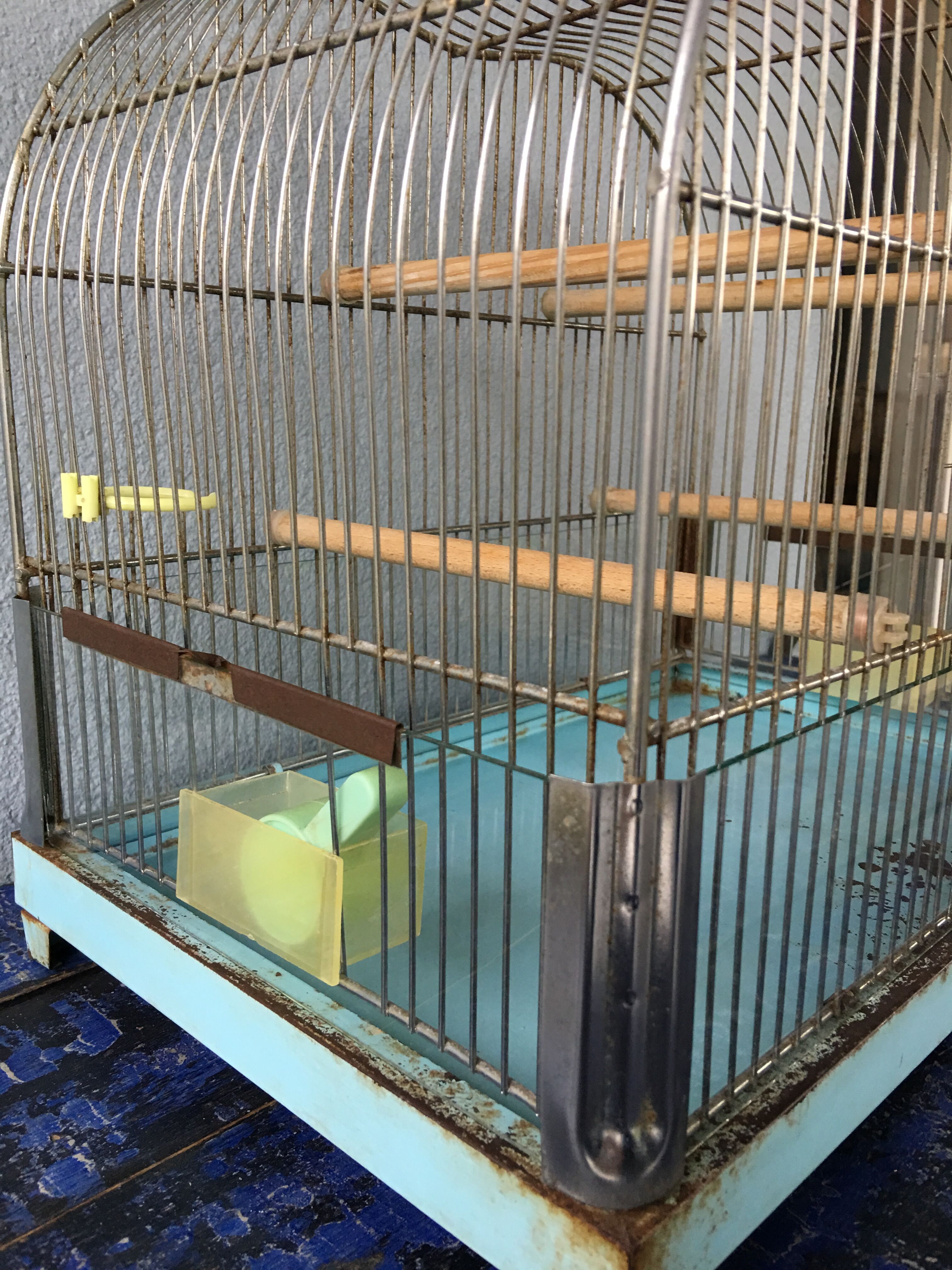 Vintage birdcage
