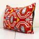 Coussin Ikat velours