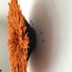 Juju hat orange 55 cm