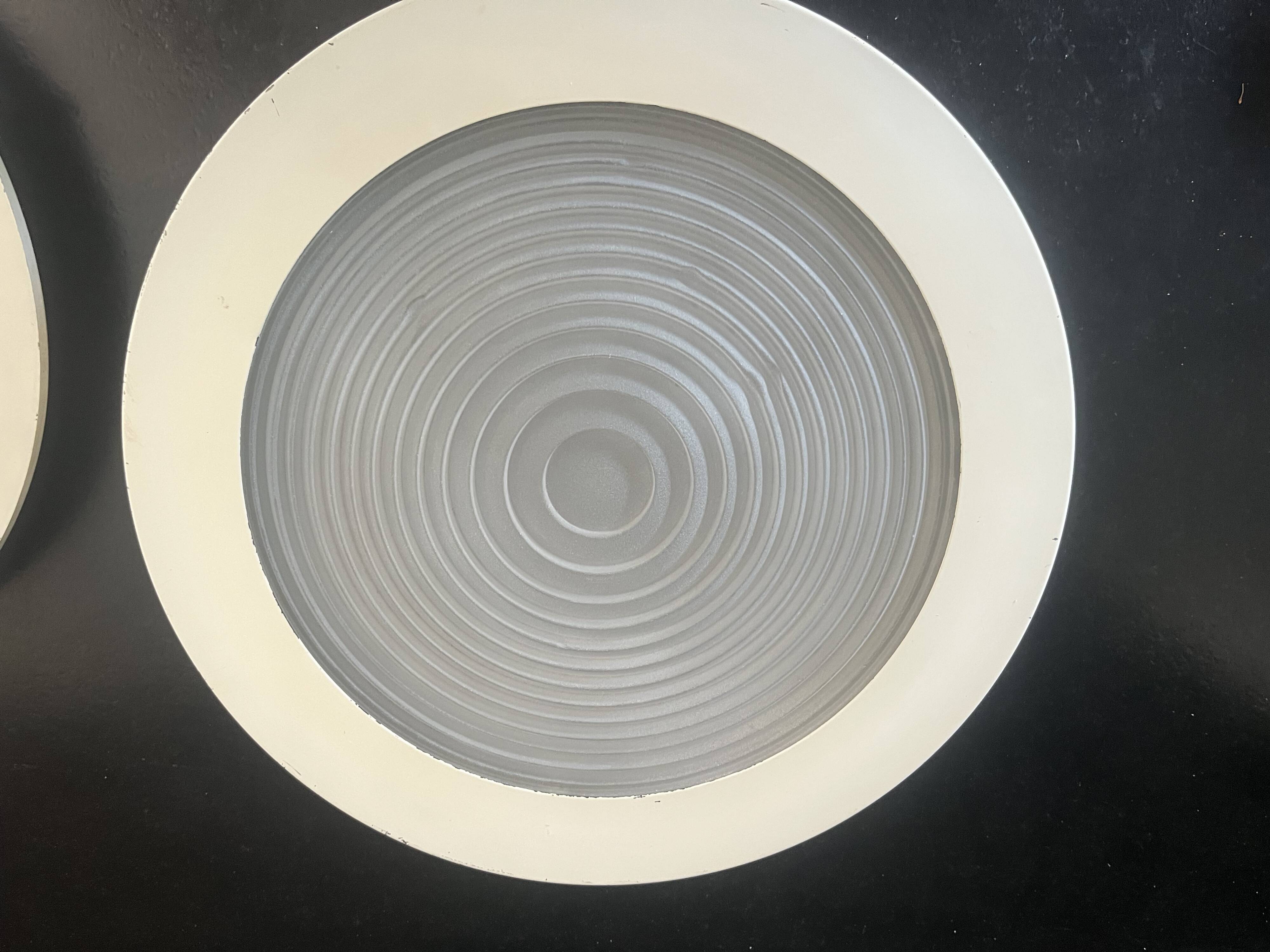 Lacquered metal Holophane ceiling light